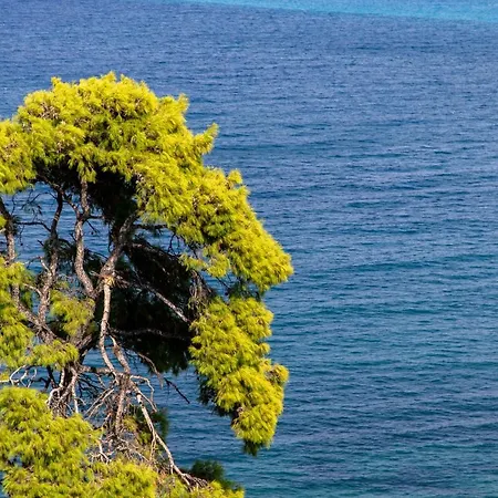 Daire See To Sea